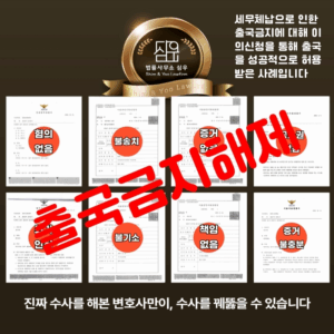 출국금지이의신청변호사5820
